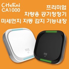 ca1000