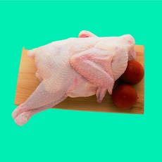 토종닭11호
