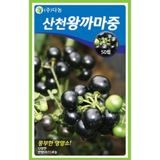 왕까마중