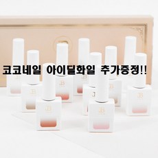 아이비코코