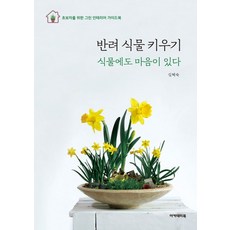 반려 식물 키우기:식물에도 마음이 있다 | 초보자를 위한 그린 인테리어 가이드북, 아카데미북