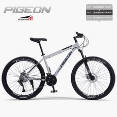 경주자전거대여