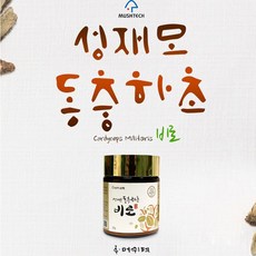 성재모 비로 40g 현미 동충하초, 2개