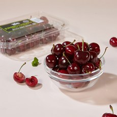 홀렛 항공직송 워싱턴 빙(Bing) 체리 800g, 점보체리(9.5R) 800g X 1팩