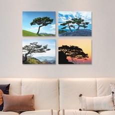 8b9bbf7166b30add903be079de3ea4edb27342da357bd4192c10ad06846a.jpg