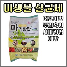 석회가루 TOP01