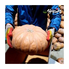영양가득 국내산 늙은호박 3-4kg (1-2통), ONE COLOR, ONE SIZE