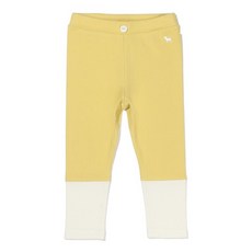 블루독컬러블록