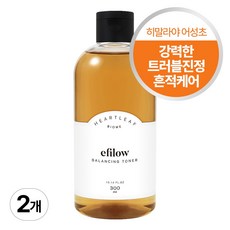 에필로우 어성초 바이옴 밸런싱 토너, 300ml, 2개