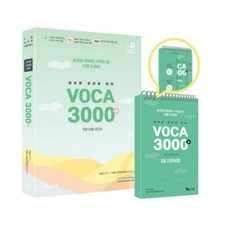 이동기voca3000