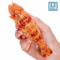 f01afc20b5984927f9349c2058ac4318a5c393b1c3e34eeaabdfc4ab2a57.jpg