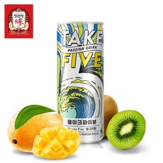 정관장 테이크파이브 에너지음료 망고키위 250mlX30캔, 01_망고키위(250ml×30캔)