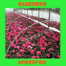 703be39f39cec17286877970cfc2ea5a4727b086a26957d40c935eb2ae9b.jpeg