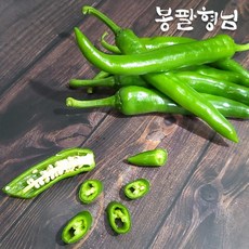 해남고추