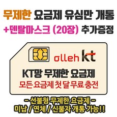 kt청소년요금제기기변경