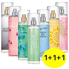 엘리자베스아덴바디세트