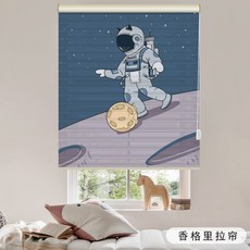 아이방롤스크린우주