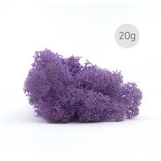 106b7b99536300772da80c8e60207b6910d704386dcfb1f6aeb420b31b9f.jpg