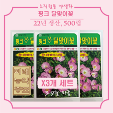 9월의꽃꽂이꽃종류