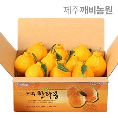 깨비농원 고당도 한라봉 2.5kg, 1box, 한라봉 2.5kg 대과