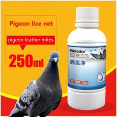 물벼룩 비둘기 벼룩 진드기 계란 벌레 클렌저 샤워 젤 깃털 청소 표피 건강 관리 250ml, 1개