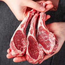 대한민국농수산 램 양고기 골라담기 프렌치랙 양꼬치 캠핑음식, 양프렌치랙 500g, 1개