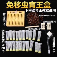 자동 이충기 여왕벌 만들기 육각틀 왕대 보호기 세트 양봉 용품 자재 이충 왕완, 1개