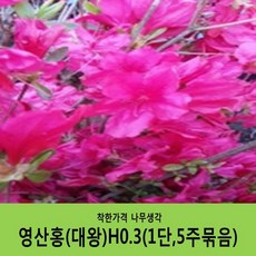 dcc891ca7d30e2a445e6dae171942e2de7251304f72441a48053b4bc2df2.JPG