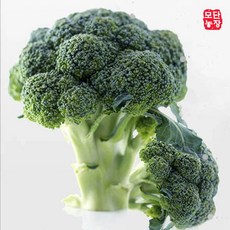 청정괴산 생물 햇브로콜리 싱싱함이 끝내주는 꽉찬 4~5송이/1.5k내외, 300g, 4개, 아이스박스+냉매포함포장