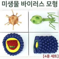 바이러스모형