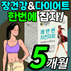 오은영차전자피