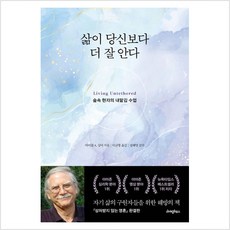 삶이 당신보다 더 잘 안다 : 숲속 현자의 내맡김 수업 - 마이클 A. 싱어, 라이팅하우스