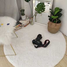 북유럽 라운드 거실 침대 매트 러그 화이트 원형 카페트, 직경 120cm√