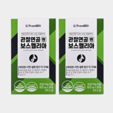 프롬바이오 관절연골엔 보스웰리아, 2박스, 30정