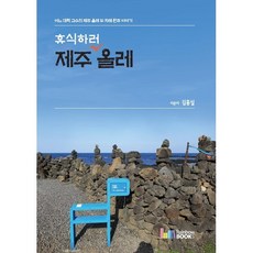 휴식하러 제주 올레:어느 대학 교수의 제주 올레 두 차례 완주 이야기, 김홍설 저, 레인보우북스