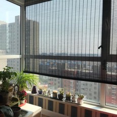 그늘발