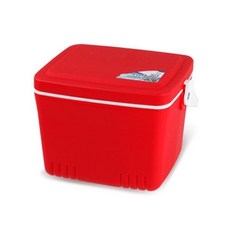 아트박스/라이피스트 팬더아이스박스22L, 그린
