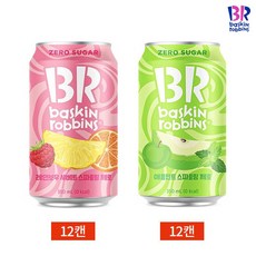 베스킨라빈스 레인보우 애플민트 스파클링 340ml 24캔 2종 세트, 1세트, 단일상품_개당 용량_상세페이지참조