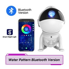 sega플라네타리움