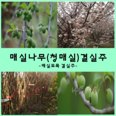 a458f564e753b99a7fbf26e0c4303cc35d1ec5a7d6c72eec4608e4a690eb.png