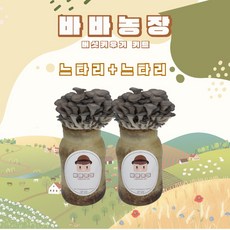 바바농장 1+1 국내산 버섯 키우기 키트 고기 느타리 황금팽이 표고버섯 노루궁뎅이 배지 베지 재배기 집에서할수있는취미, 1세트, 느타리+느타리