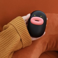액자형열판