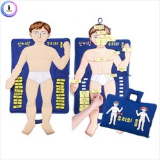 룍*툥콱쿅큐쫰-h74 4541 헝겊책 신비한 우리의 몸 인형 교구 어린이놀이 우리학습el*f-kd^l^, 션턕욥션!!, 1개
