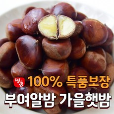 [특선별] 2024 햇밤 국산 부여 알밤 생 왕밤, 1개, 1kg