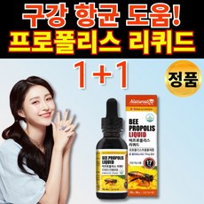 마임프로폴리스