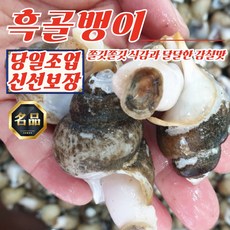 동해안 자연산 흑골뱅이 1kg (50-80미) [자숙급냉], 1개