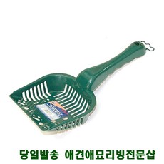 고양이초보집사되기