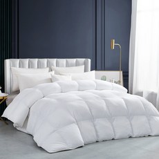 Luxurious All-Season Goose Down Feather Fiber Comf 고급스러운 올시즌 거위털 섬유 이불 이불 인서트 절묘한 킹 화이트 스트라이프 디자인, 330380Queen, White (Heavy Weight) / Winter