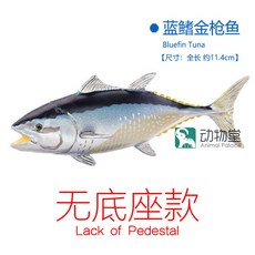 우리바다어류도감