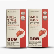 테아닌과밀크씨슬 테아닌과 밀크씨슬 활력 솔루션 1 000mg x 60정 x 2박스 2개